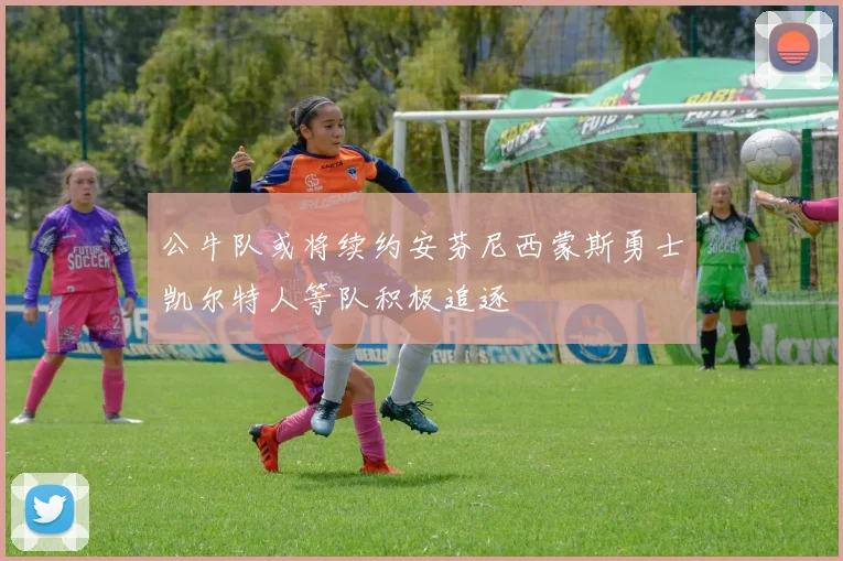 公牛队或将续约安芬尼西蒙斯勇士凯尔特人等队积极追逐